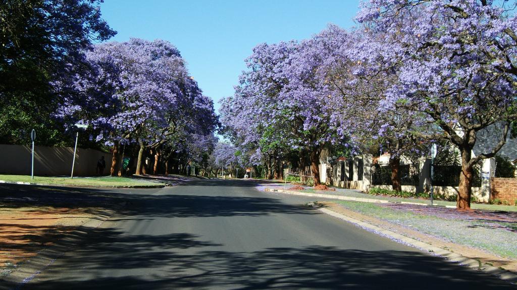 Northcliff Bed And Breakfast Randburg Esterno foto